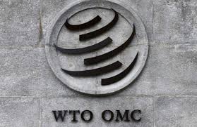The United States rejects the new head of the WTO