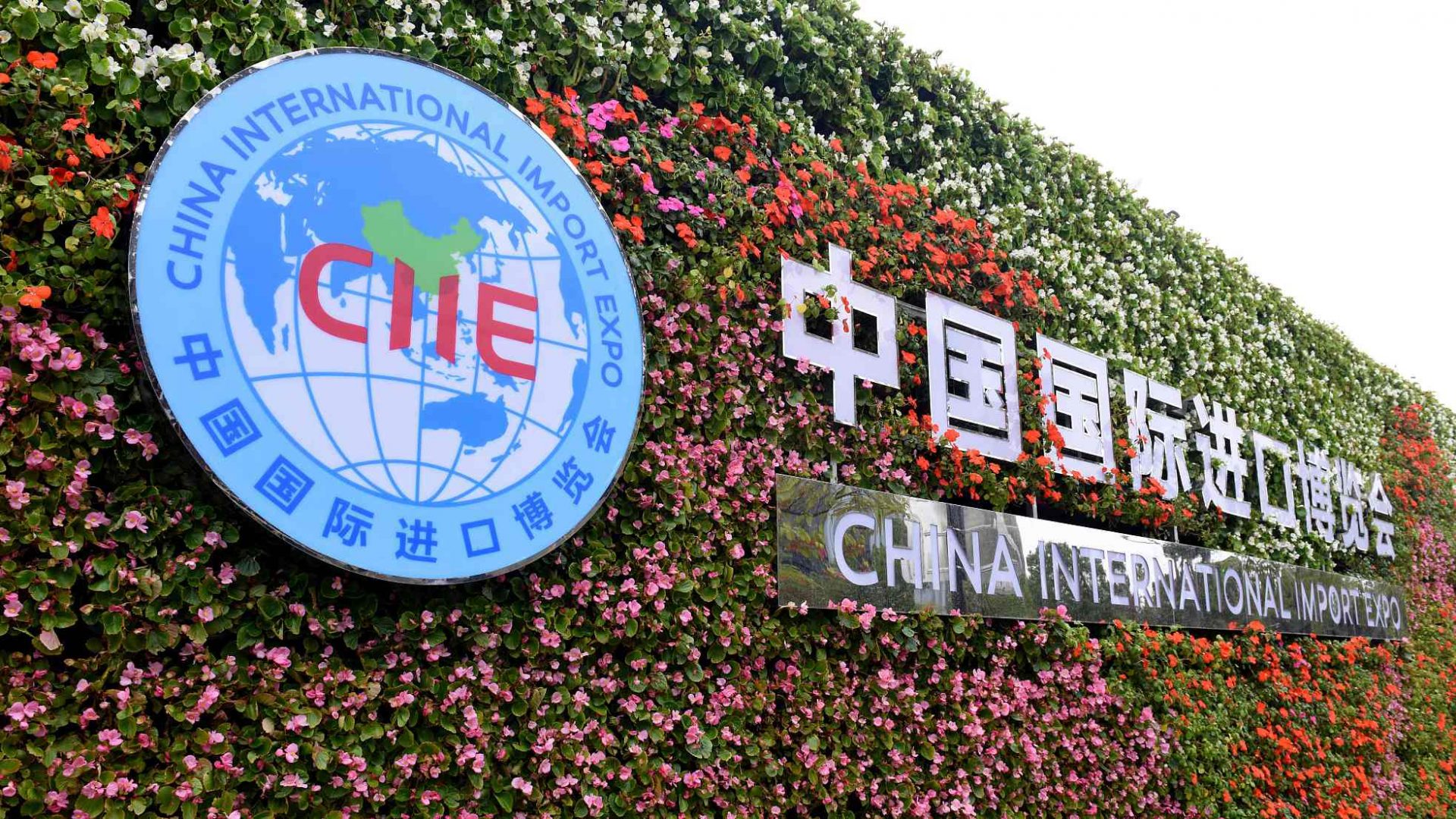 Global Vision 丨 Seven Ambassadors to China Become "Star Spokespersons" for CIIE China International Import Expo: China Pumping Momentum into the Global Economy