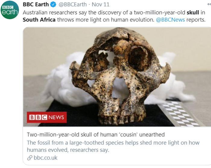 South Africa found 2 million-year-old skull fossil to provide new information on human evolution