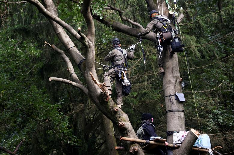 Germany environmentalists protest against building highways in forests, police climb trees to arrest people