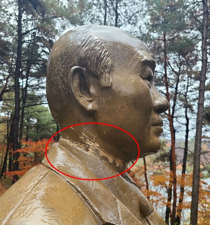 The bronze statue of former South Korean President Chun Doo-hwan was arrested on the spot by "sawhead" suspect