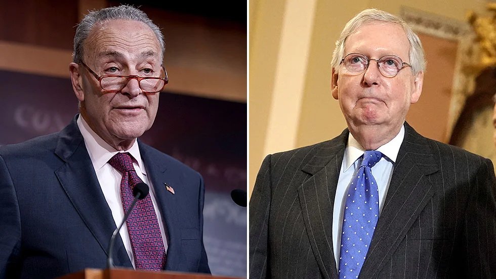 McConnell and Schumer were re-elected as bipartisan leaders of the U.S. Senate