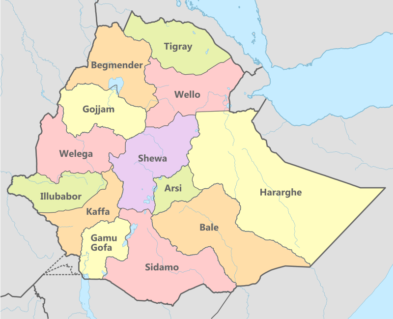 Nine police officers have been killed in an attack in Ethiopia