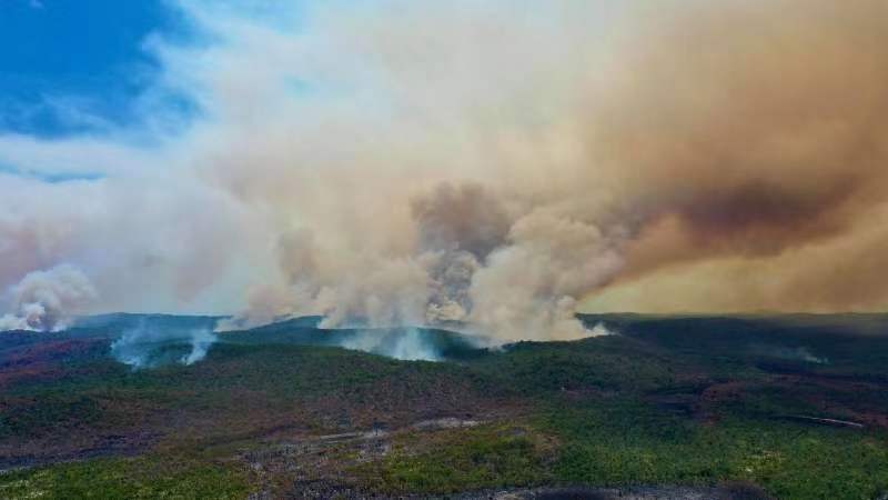 Australia's continuous high-temperature forest fires lost control. Nearly half of the world natural heritage Faisha Island forest was burned down.
