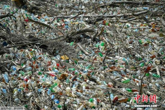 South Korea's Ministry of Environment: Plan to reduce plastic waste by 20% by 2025