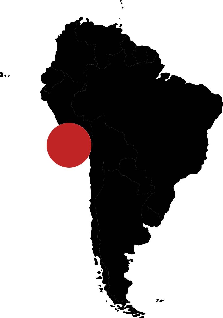 Chile: The tsunami caused by insufficient earthquakes. There are no casualties at present.