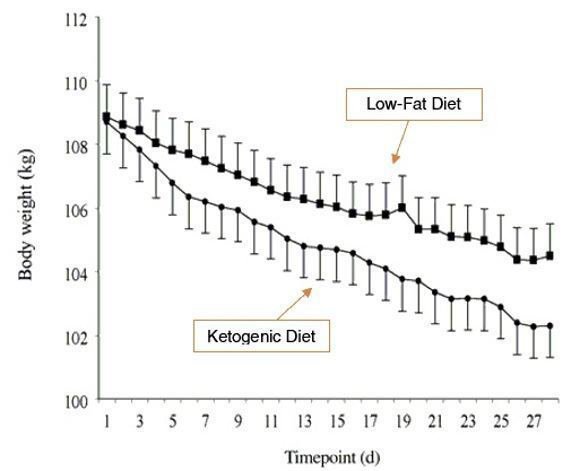 Custom Keto Diet