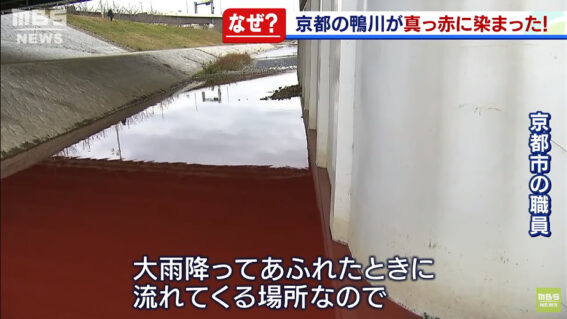 A river in Japan suddenly turned into a "blood river". The police urgently dispatched