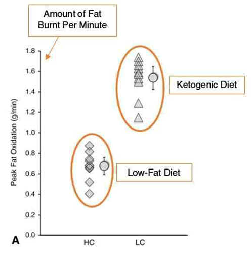 Custom Keto Diet