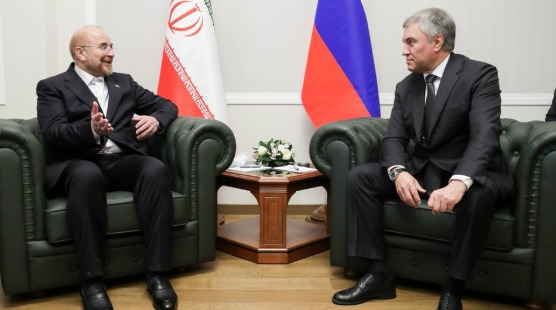 Russian State Duma Chairman held talks with the Speaker of the Iranian Parliament