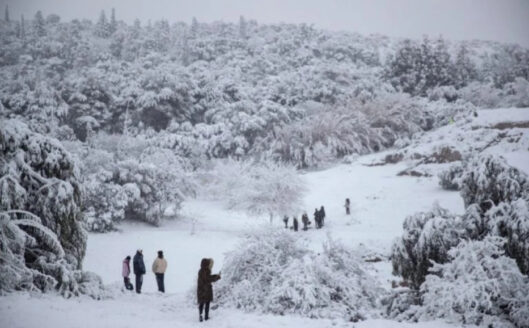 Affected by heavy snow, a city in northern Attica, Greece, declared a state of emergency.