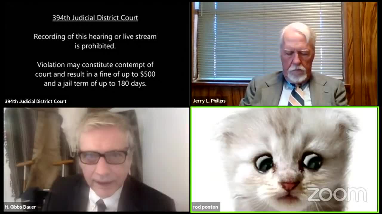 Trapped in "cat filter" in online meeting, American lawyer became popular