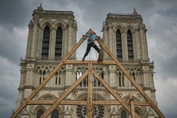 In order to rebuild the spire of Notre Dame de Paris, France is trying its best to search for a century-old oak tree.