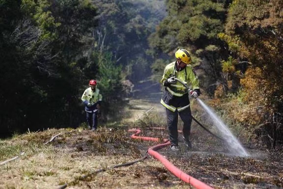 A bushfire broke out near Auckland, New Zealand