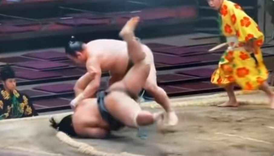 Japan's 28-year-old sumo wrestler died suddenly after more than a month in bed with his head on the ground during a match