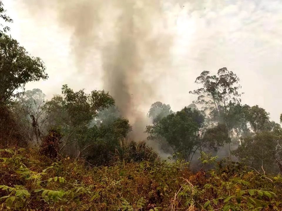 A mountain forest fire broke out in Laxu, Myanmar. No casualties have been reported for the time being.