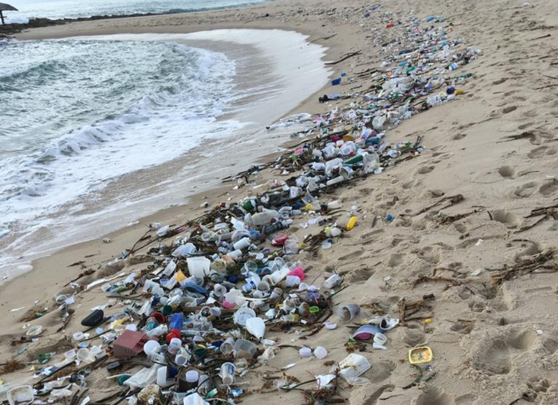 The emergence of 1.5 tons of garbage on beaches in north-eastern Brazil, such as needles and other medical waste, has raised concerns