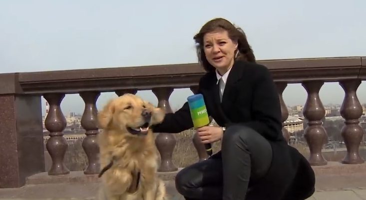Russian female journalist was robbed of the microphone by the dog and successfully recovered it with the dog live.