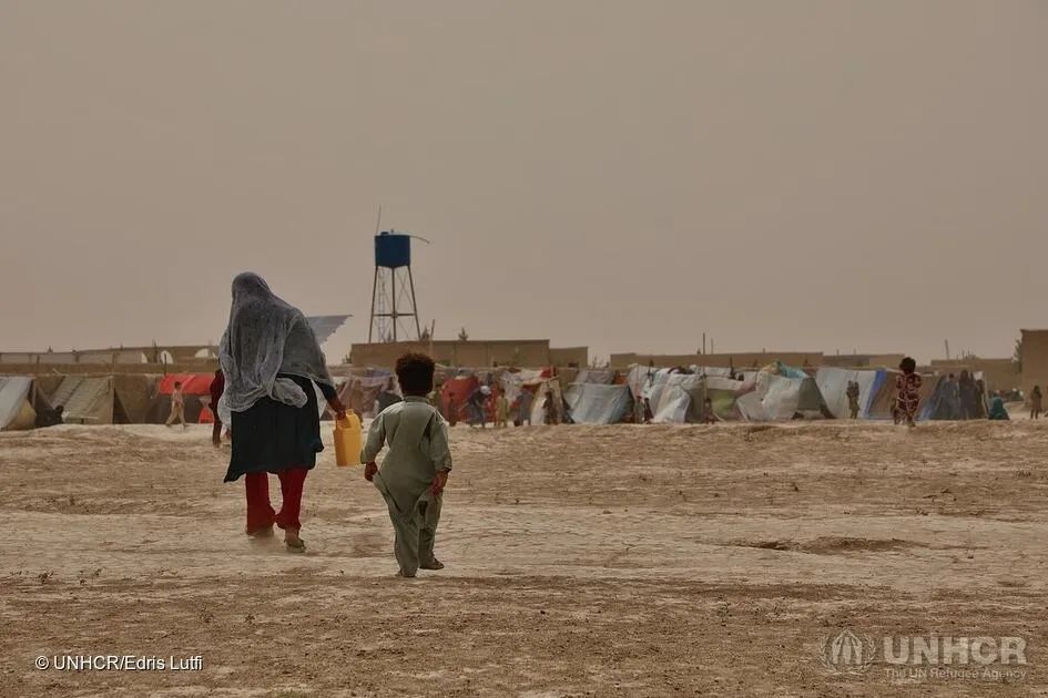 UNHCR: A large number of displaced Afghan women and children have died as a result of the conflict