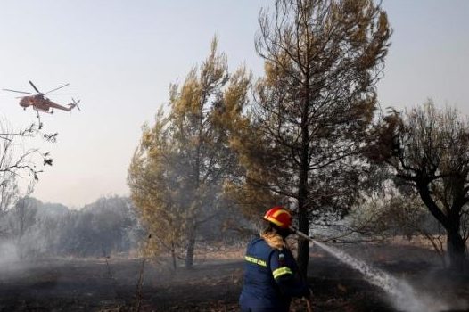 South Korea's wildfire area is equivalent to 33,000 football fields, breaking historical records